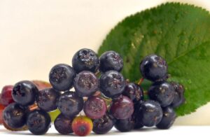 KOTTIS SUPERFOODS ΑΠΟΞΗΡΑΜΕΝΑ ΑΡΩΝΙΑ