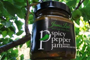 JAMS LAB: ΚΑΥΤΕΡΗ ΜΑΡΜΕΛΑΔΑ ΠΙΠΕΡΙΑ